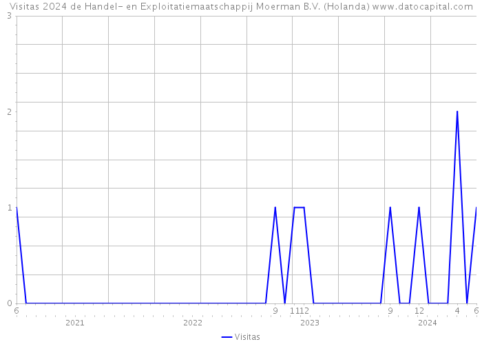 Visitas 2024 de Handel- en Exploitatiemaatschappij Moerman B.V. (Holanda) 