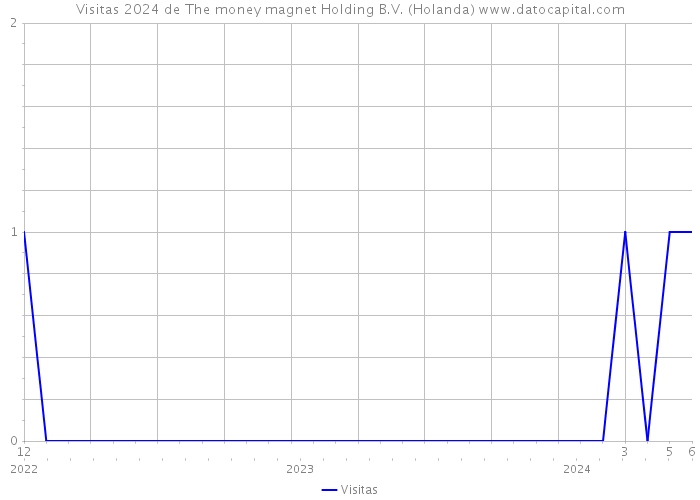 Visitas 2024 de The money magnet Holding B.V. (Holanda) 