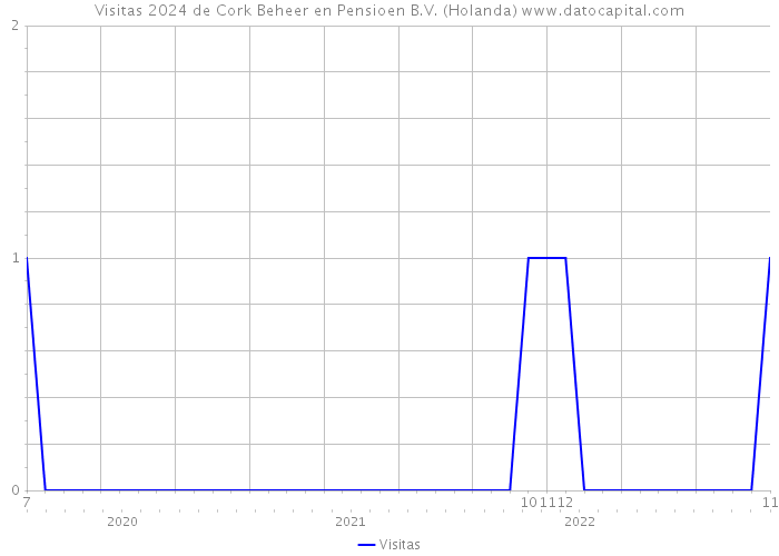 Visitas 2024 de Cork Beheer en Pensioen B.V. (Holanda) 