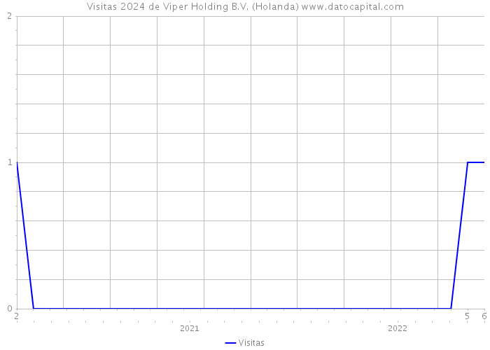 Visitas 2024 de Viper Holding B.V. (Holanda) 