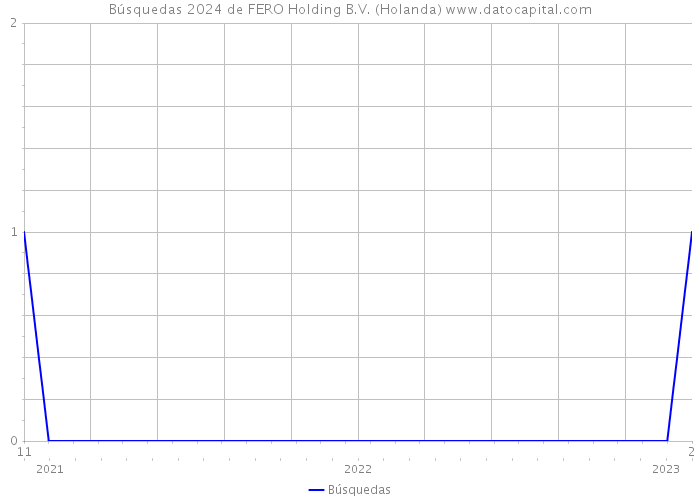 Búsquedas 2024 de FERO Holding B.V. (Holanda) 