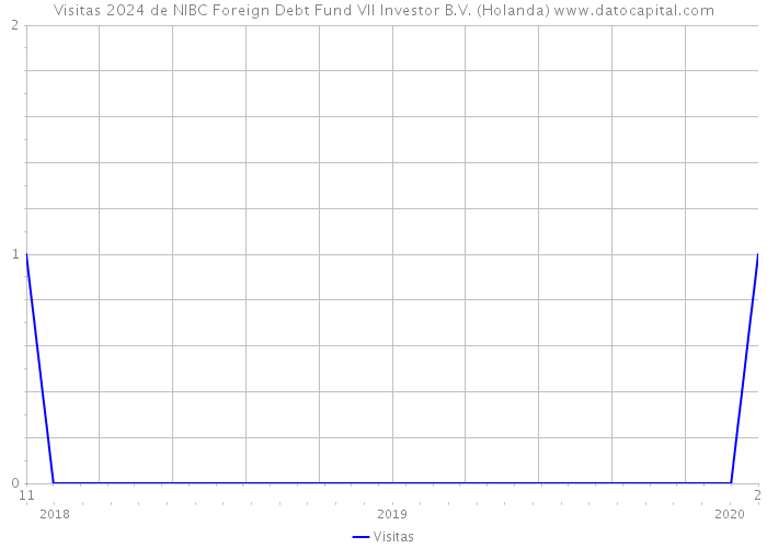 Visitas 2024 de NIBC Foreign Debt Fund VII Investor B.V. (Holanda) 