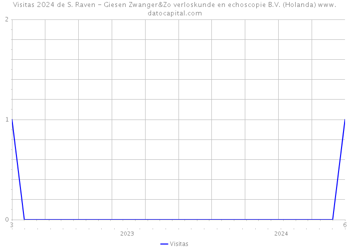 Visitas 2024 de S. Raven - Giesen Zwanger&Zo verloskunde en echoscopie B.V. (Holanda) 