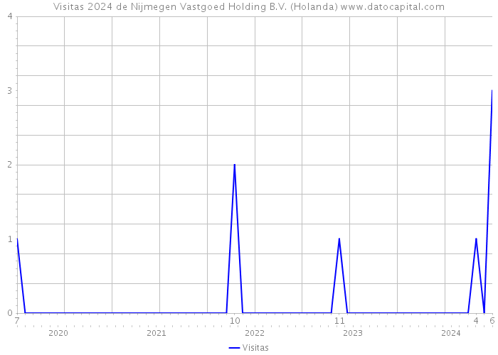 Visitas 2024 de Nijmegen Vastgoed Holding B.V. (Holanda) 