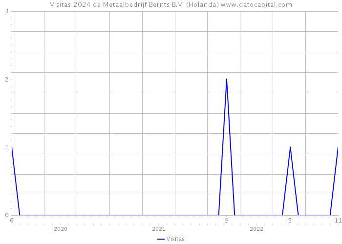 Visitas 2024 de Metaalbedrijf Bernts B.V. (Holanda) 