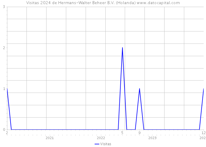 Visitas 2024 de Hermans-Walter Beheer B.V. (Holanda) 