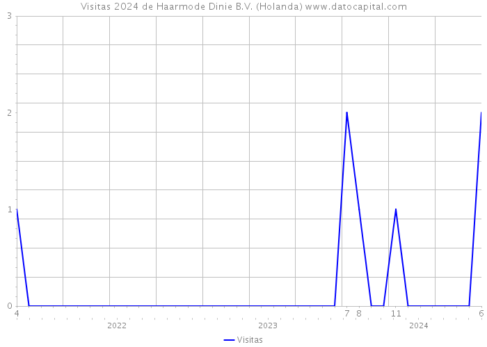 Visitas 2024 de Haarmode Dinie B.V. (Holanda) 