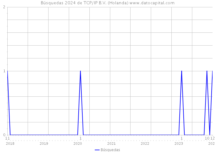 Búsquedas 2024 de TCP/IP B.V. (Holanda) 