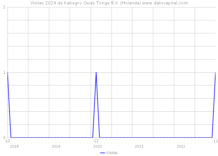 Visitas 2024 de Kabegro Oude Tonge B.V. (Holanda) 