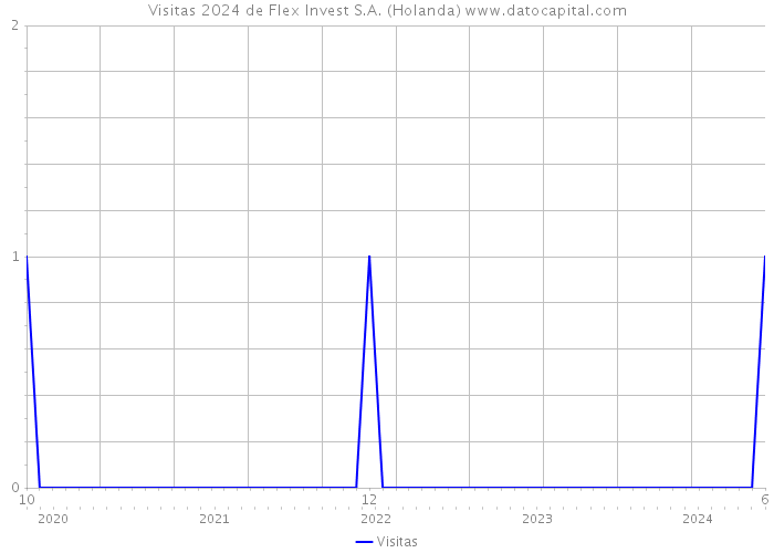 Visitas 2024 de Flex Invest S.A. (Holanda) 