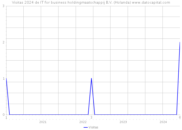 Visitas 2024 de IT for business holdingmaatschappij B.V. (Holanda) 