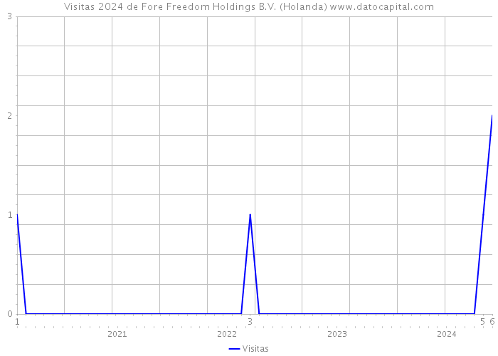 Visitas 2024 de Fore Freedom Holdings B.V. (Holanda) 