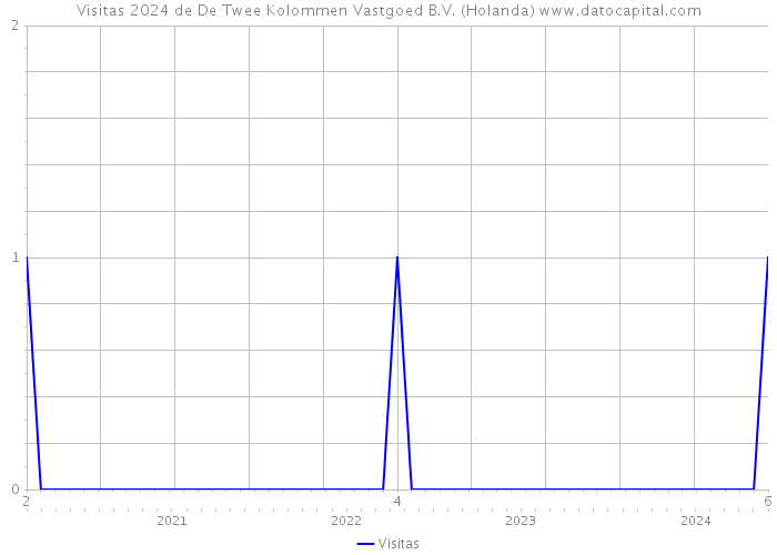 Visitas 2024 de De Twee Kolommen Vastgoed B.V. (Holanda) 