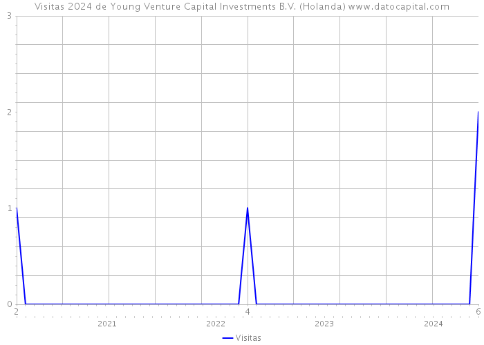Visitas 2024 de Young Venture Capital Investments B.V. (Holanda) 