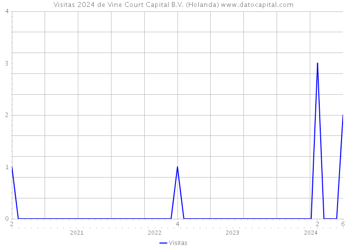 Visitas 2024 de Vine Court Capital B.V. (Holanda) 
