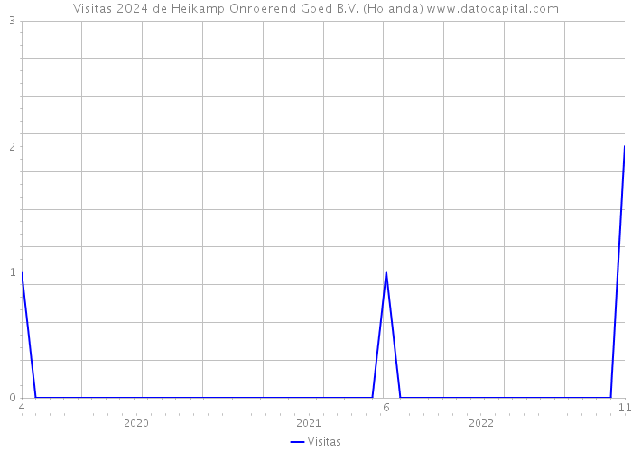 Visitas 2024 de Heikamp Onroerend Goed B.V. (Holanda) 