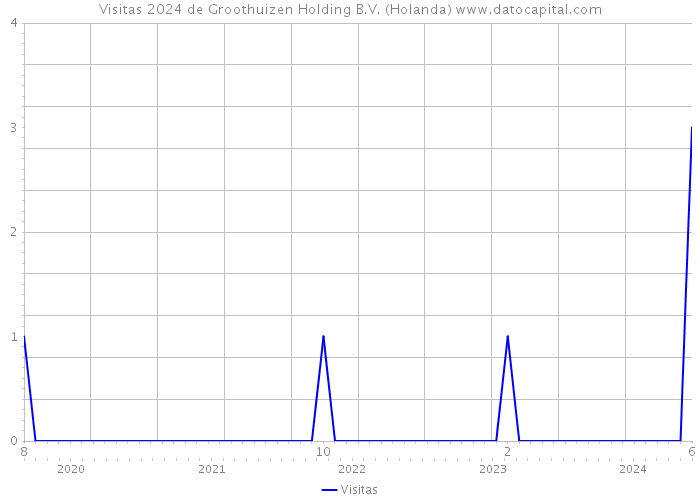 Visitas 2024 de Groothuizen Holding B.V. (Holanda) 