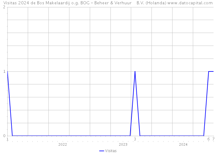 Visitas 2024 de Bos Makelaardij o.g. BOG - Beheer & Verhuur B.V. (Holanda) 