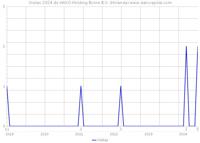 Visitas 2024 de HAKO Holding Borne B.V. (Holanda) 