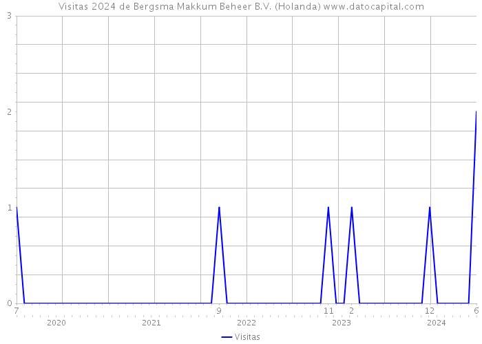 Visitas 2024 de Bergsma Makkum Beheer B.V. (Holanda) 