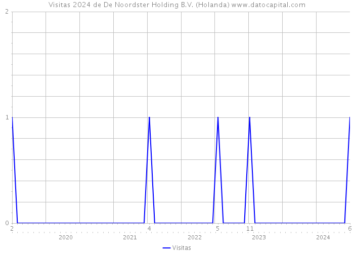 Visitas 2024 de De Noordster Holding B.V. (Holanda) 