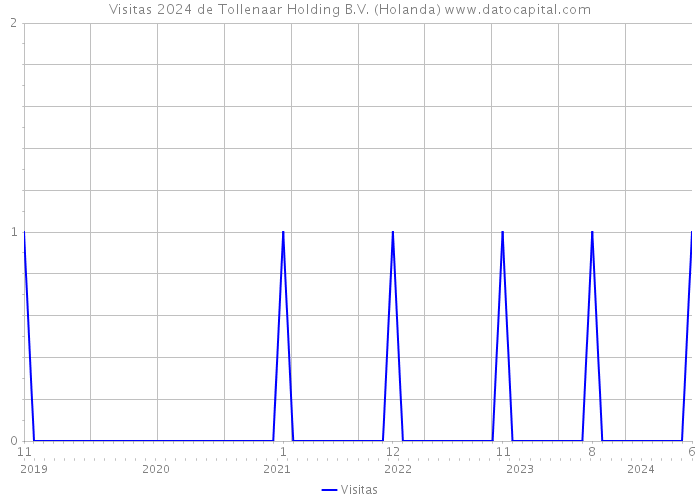 Visitas 2024 de Tollenaar Holding B.V. (Holanda) 