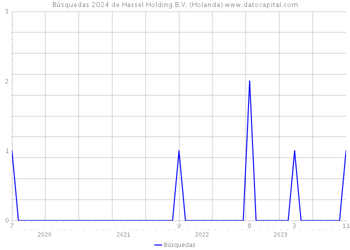 Búsquedas 2024 de Hassel Holding B.V. (Holanda) 