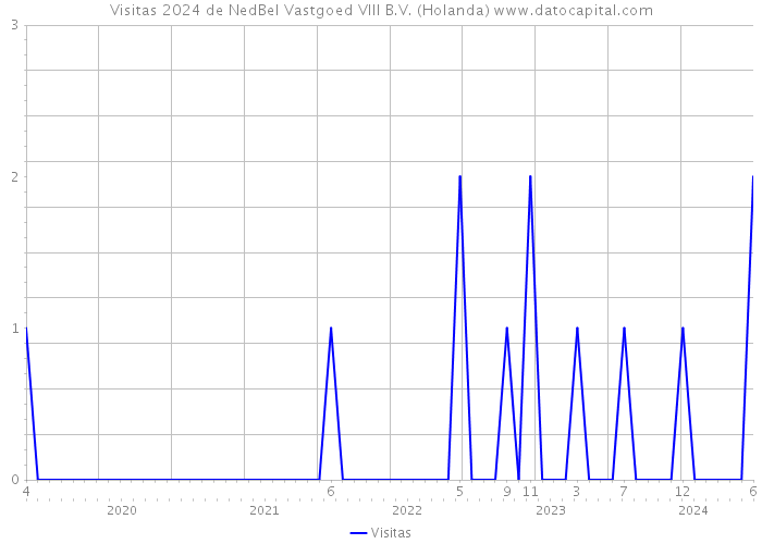 Visitas 2024 de NedBel Vastgoed VIII B.V. (Holanda) 