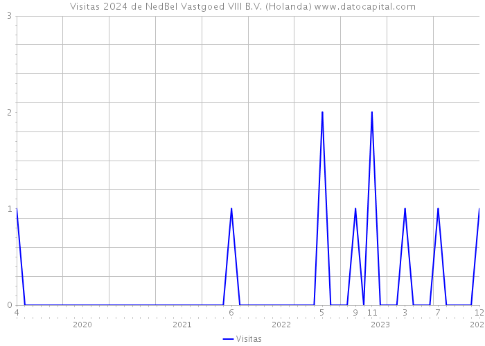 Visitas 2024 de NedBel Vastgoed VIII B.V. (Holanda) 