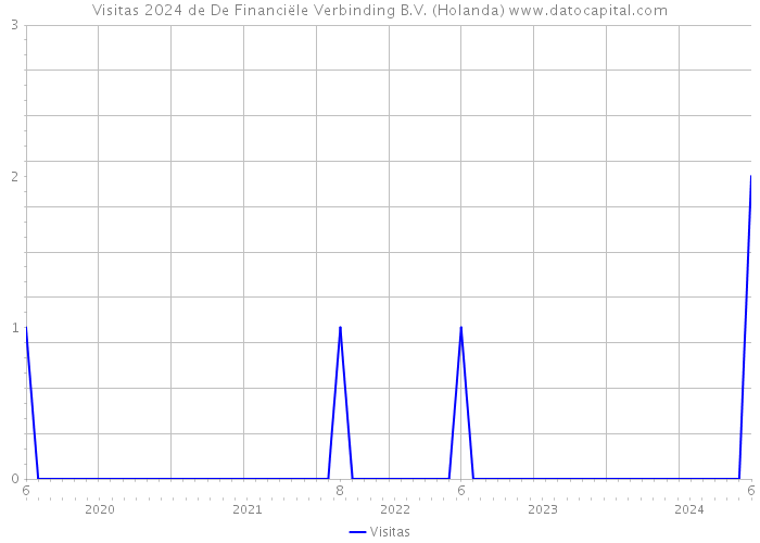 Visitas 2024 de De Financiële Verbinding B.V. (Holanda) 