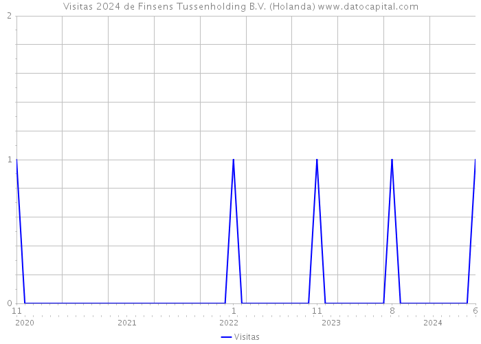 Visitas 2024 de Finsens Tussenholding B.V. (Holanda) 