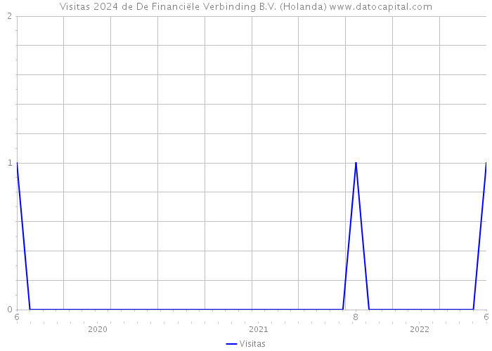 Visitas 2024 de De Financiële Verbinding B.V. (Holanda) 