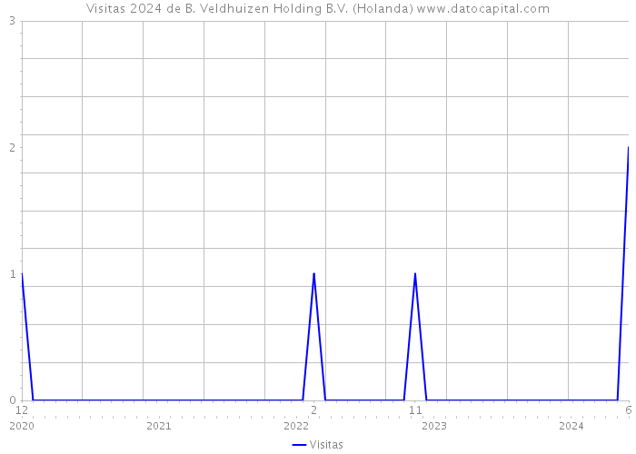 Visitas 2024 de B. Veldhuizen Holding B.V. (Holanda) 