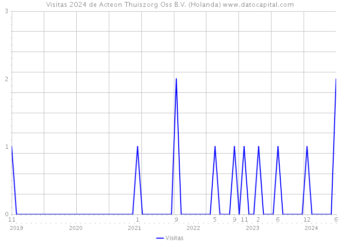 Visitas 2024 de Acteon Thuiszorg Oss B.V. (Holanda) 