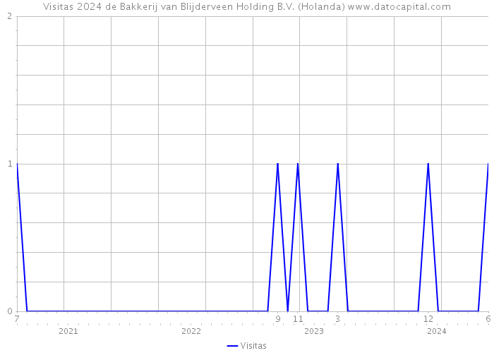 Visitas 2024 de Bakkerij van Blijderveen Holding B.V. (Holanda) 