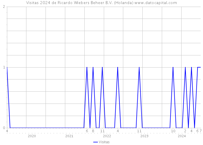 Visitas 2024 de Ricardo Wiebers Beheer B.V. (Holanda) 