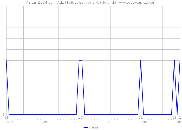 Visitas 2024 de H.A.E. Hieltjes Beheer B.V. (Holanda) 