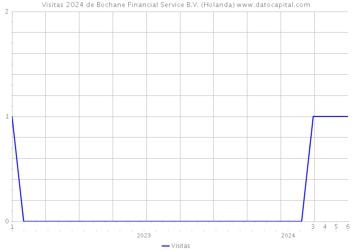 Visitas 2024 de Bochane Financial Service B.V. (Holanda) 
