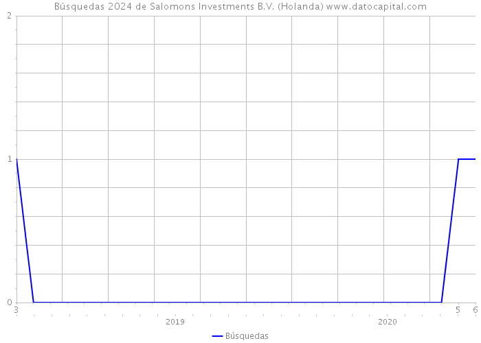 Búsquedas 2024 de Salomons Investments B.V. (Holanda) 