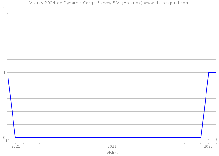 Visitas 2024 de Dynamic Cargo Survey B.V. (Holanda) 