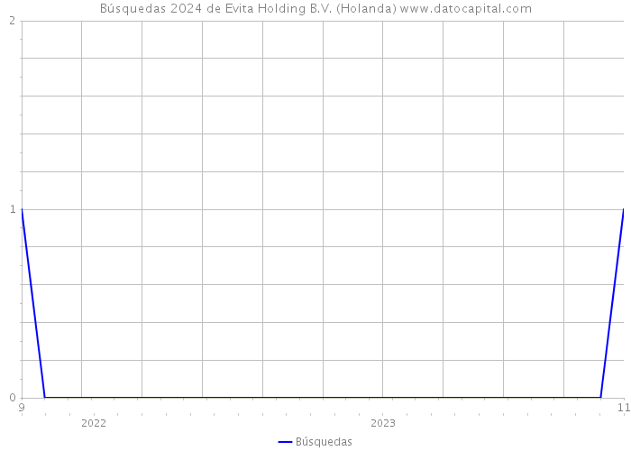Búsquedas 2024 de Evita Holding B.V. (Holanda) 