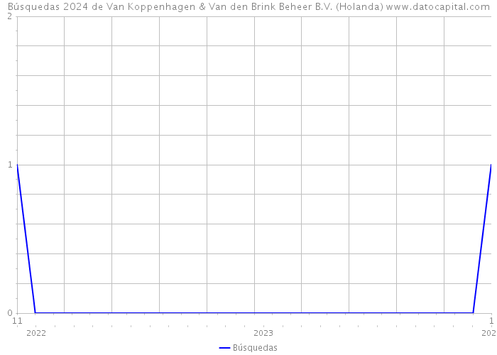 Búsquedas 2024 de Van Koppenhagen & Van den Brink Beheer B.V. (Holanda) 
