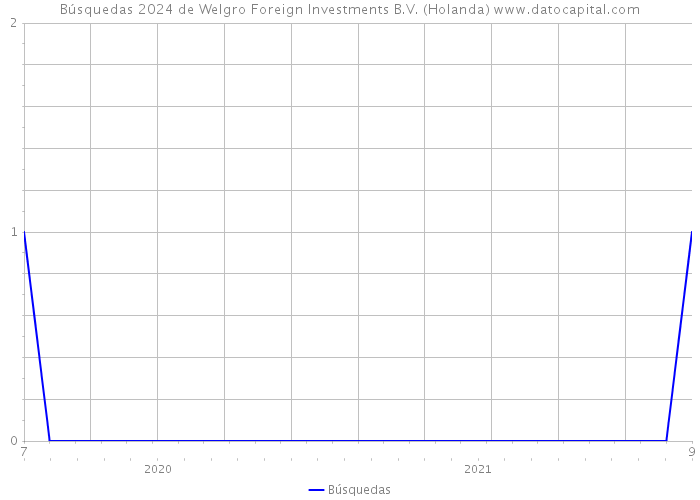 Búsquedas 2024 de Welgro Foreign Investments B.V. (Holanda) 