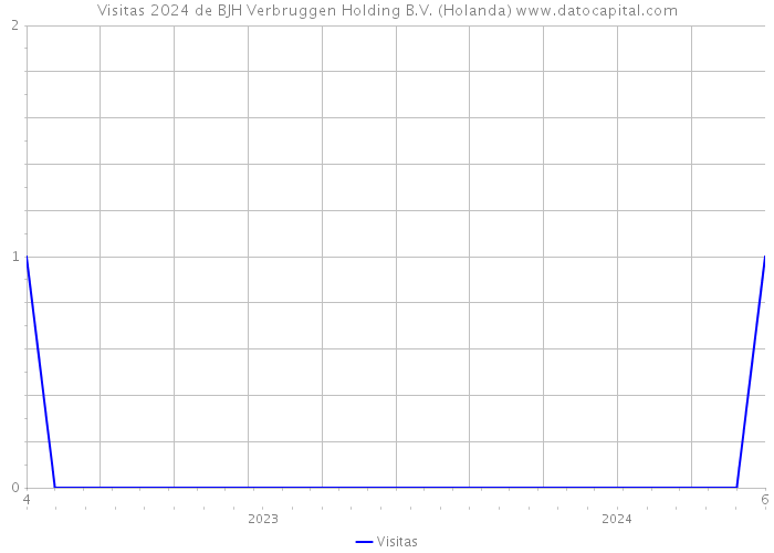Visitas 2024 de BJH Verbruggen Holding B.V. (Holanda) 
