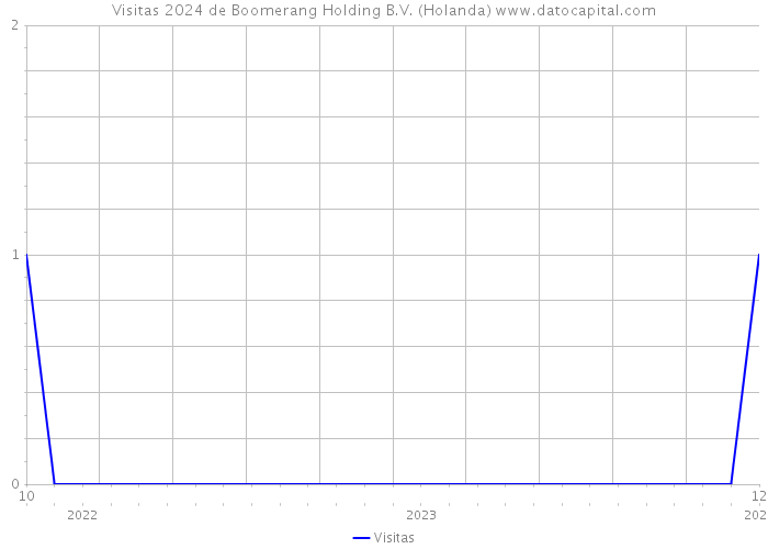 Visitas 2024 de Boomerang Holding B.V. (Holanda) 