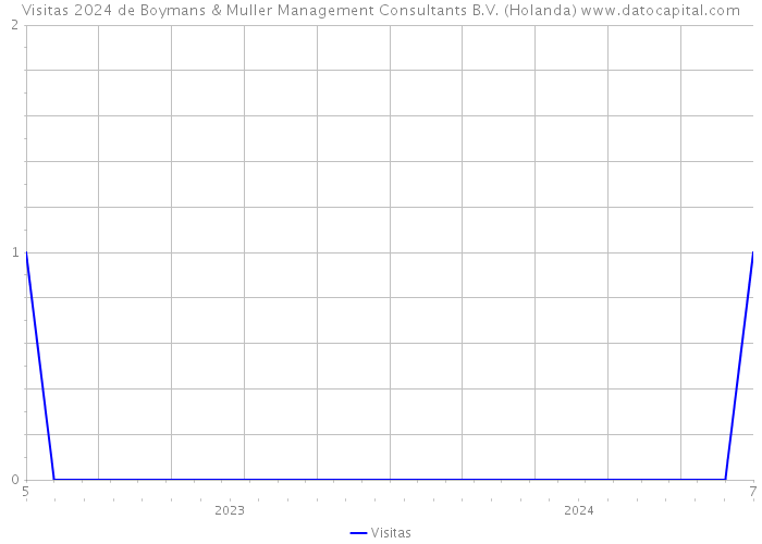 Visitas 2024 de Boymans & Muller Management Consultants B.V. (Holanda) 