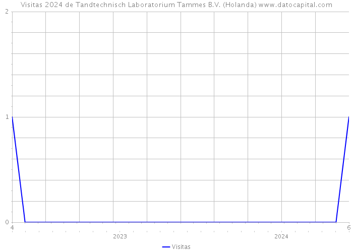 Visitas 2024 de Tandtechnisch Laboratorium Tammes B.V. (Holanda) 