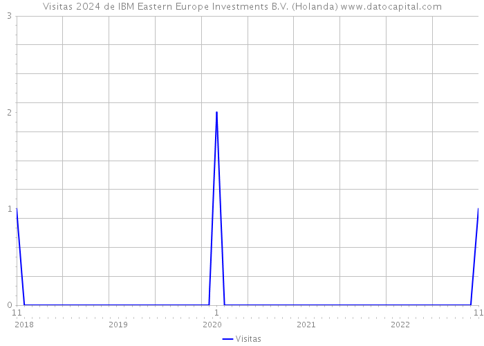 Visitas 2024 de IBM Eastern Europe Investments B.V. (Holanda) 