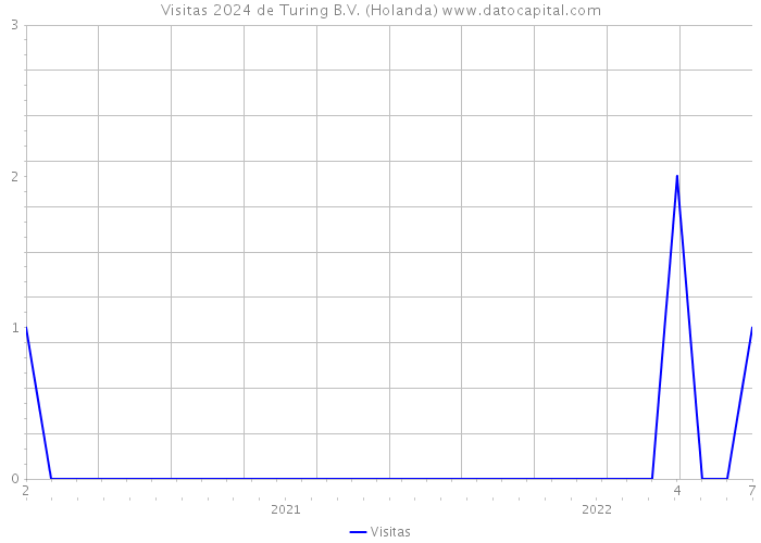 Visitas 2024 de Turing B.V. (Holanda) 