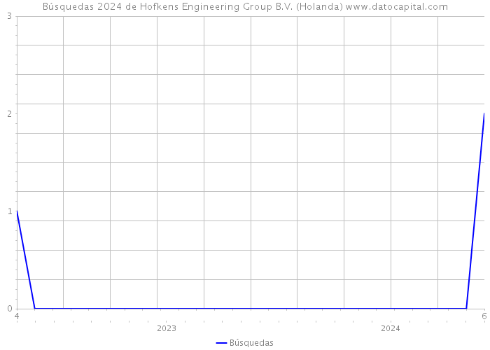 Búsquedas 2024 de Hofkens Engineering Group B.V. (Holanda) 